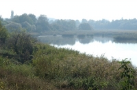 Mesztegnyő
