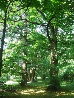 Iharosberény