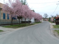 Varászló