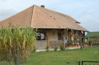 Nemesvid