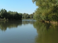 Őrtilos